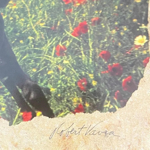 Horse Galloping Combo Pack VTG Leanin' Tree Greeting Card & Magnet Robert Vavra - Picture 16 of 16